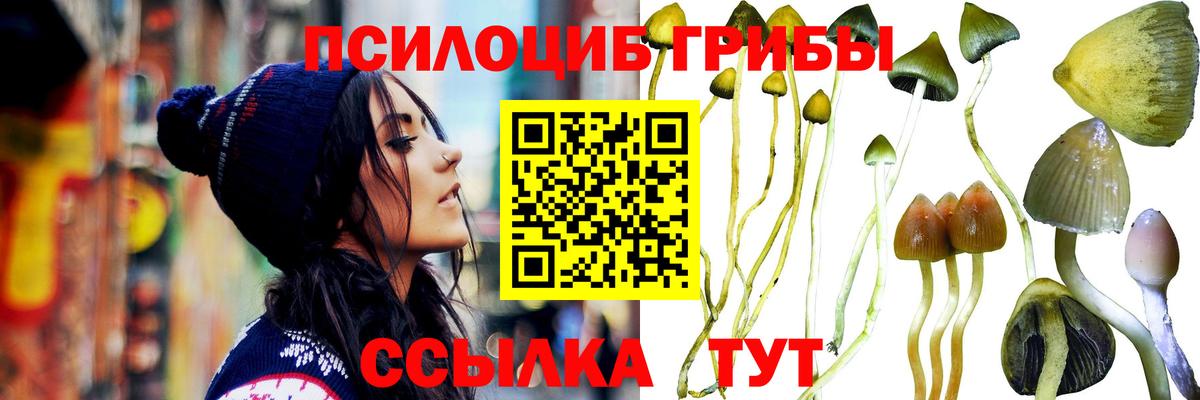 Галлюциногенные грибы Cubensis  Вход с VPN  Минеральные Воды 
